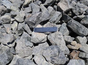 medium sized quarry srones
