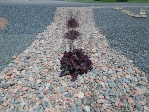 Roofing gravel used in a driveway